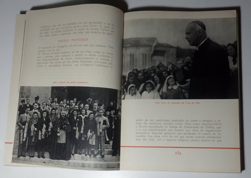 O Cardeal Cerejeira : Patriarca de Lisboa / Moreira das Neves - Image 6