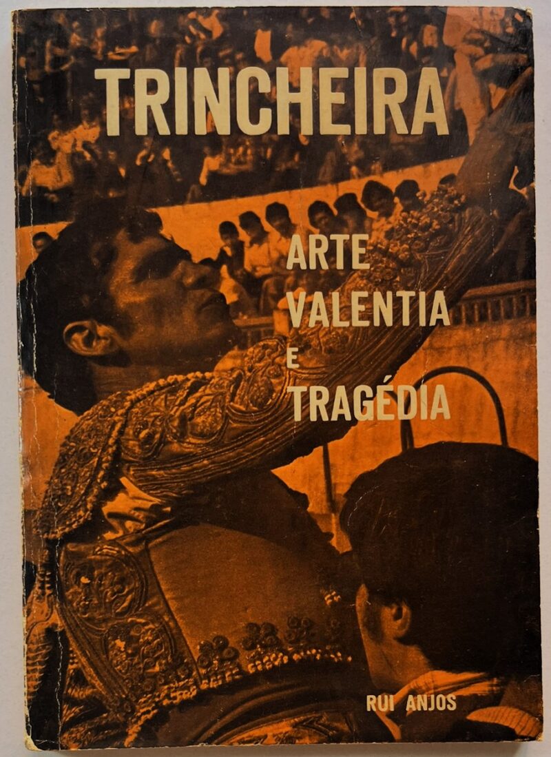 Trincheira : Arte, Valentia e Tragédia / Rui Anjos
