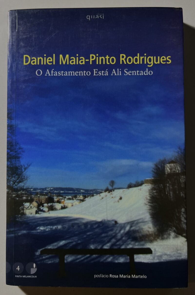 O Afastamento Está Ali Sentado / Daniel Maia-Pinto Rodrigues
