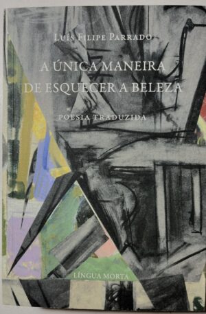 A Única Maneira de Esquecer a Beleza