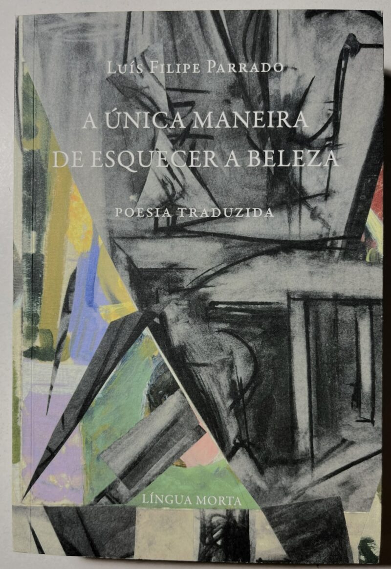 A Única Maneira de Esquecer a Beleza