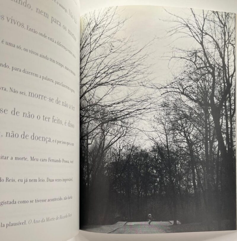 Uma Voz Contra o Silêncio / José Saramago - Image 2