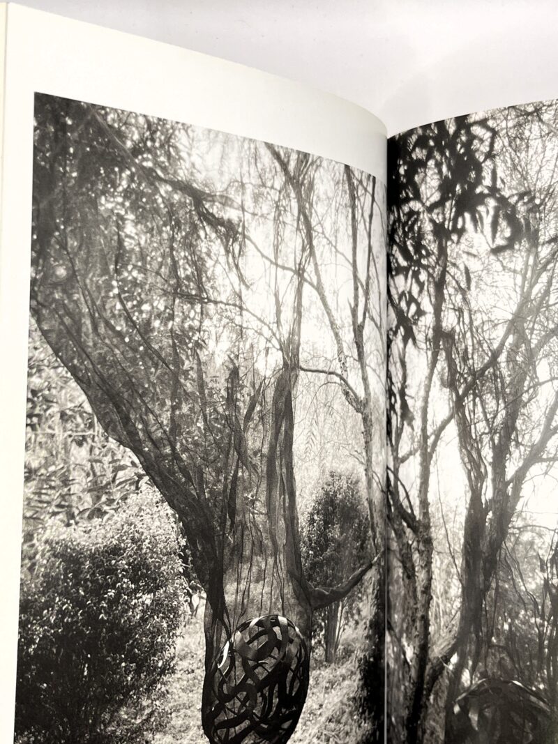 Um Sopro / Rui Chafes - Image 3
