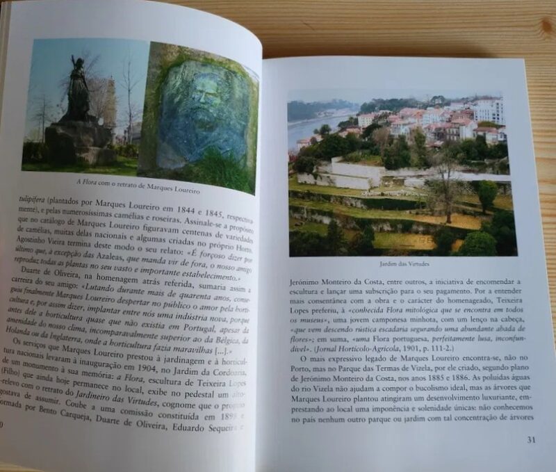 À Sombra de Árvores com História / Paulo Ventura Araújo, Maria Pires de Carvalho, Manuela Delgado Leão Ramos - Image 3
